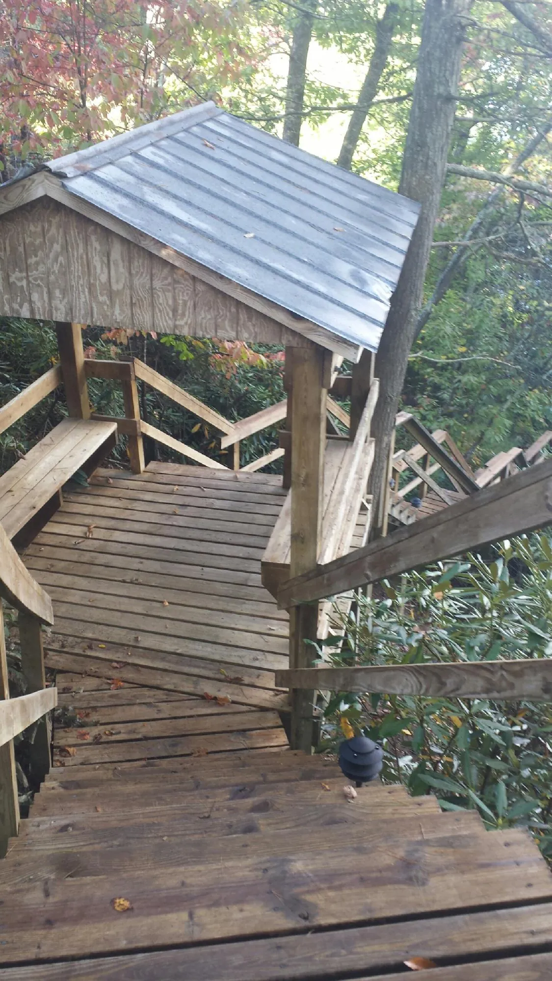 Metal roofed shelter over wooden steps on a wooded walkway — Skylight Repair & Installation work by our crew in Honey Creek
